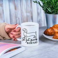 I've Got Friends I Low Places Fun Dachshund Weiner Coffee Mug 11 OZ Tea Cup M764