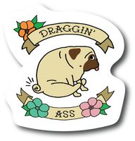 Draggin Ass Funny Pug Sticker 4. in In Decal for Car Truck Bumper PS562