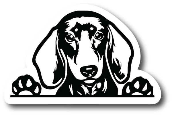 Adorable Dachshund Face 4.5 inch Decal - Sticker Graphic - Auto, Wall - PS762